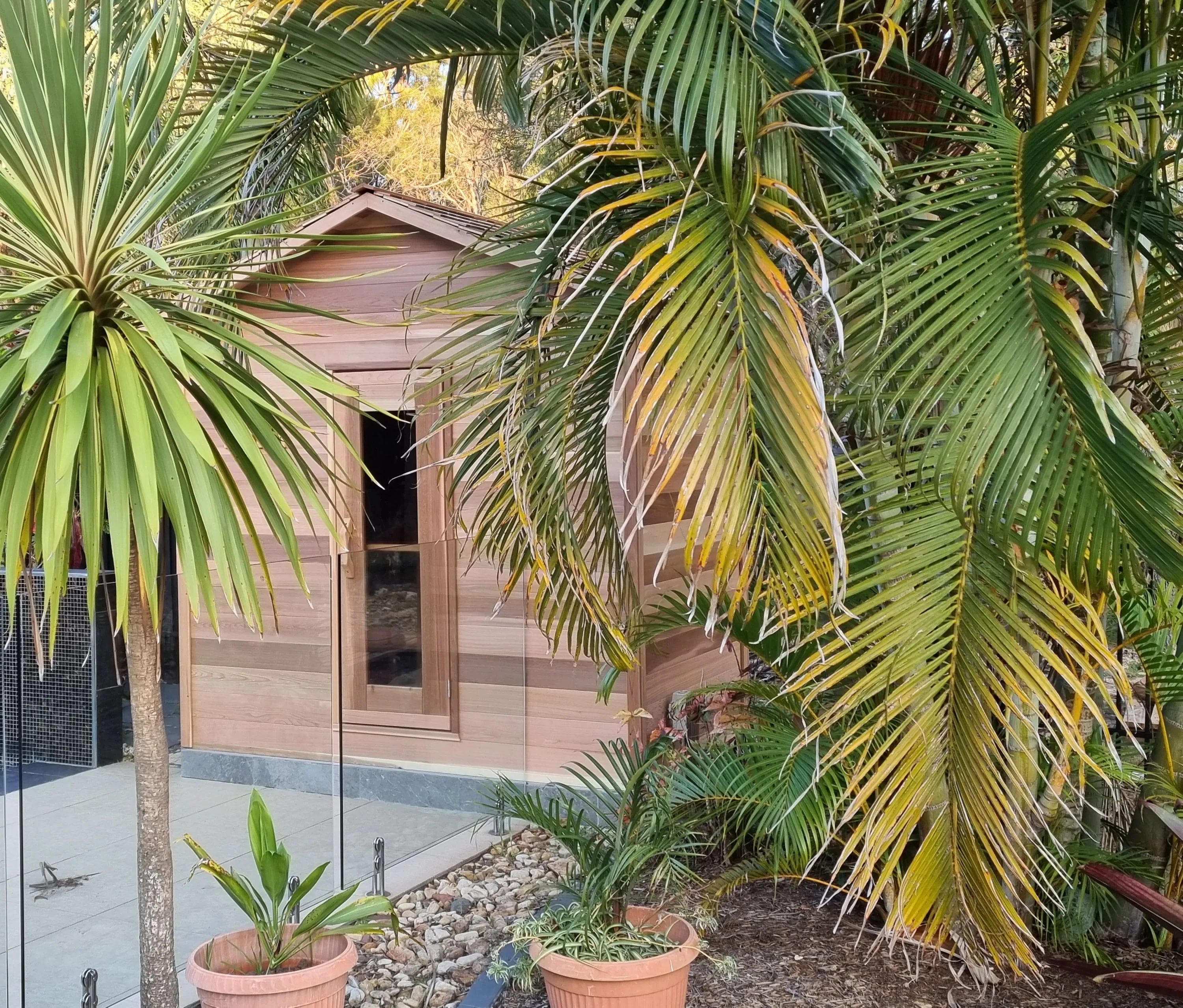 Cabin sauna framed by palm fronds