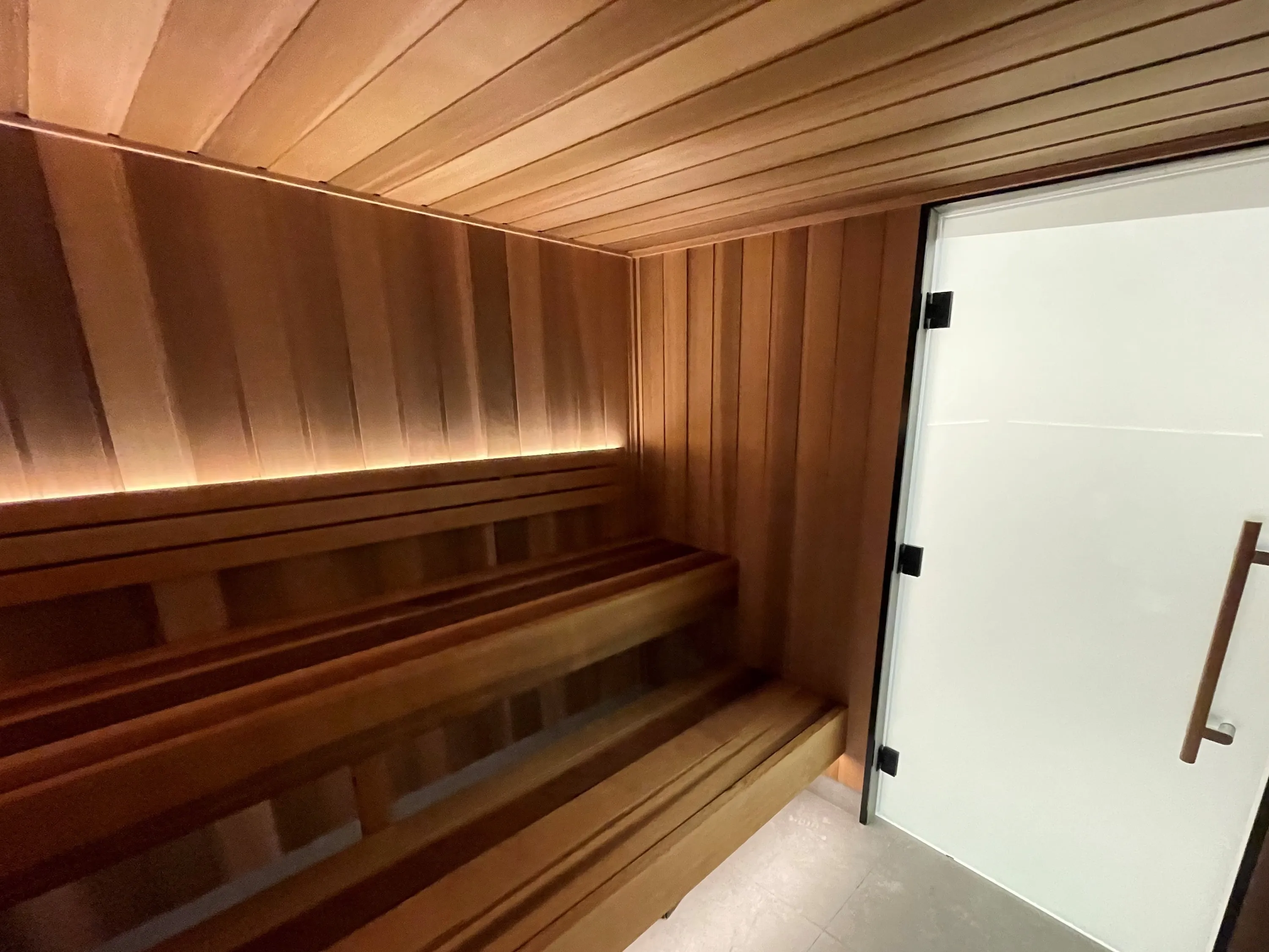 Frosted glass sauna door beside two tiers of timber benching with concealed lighting
