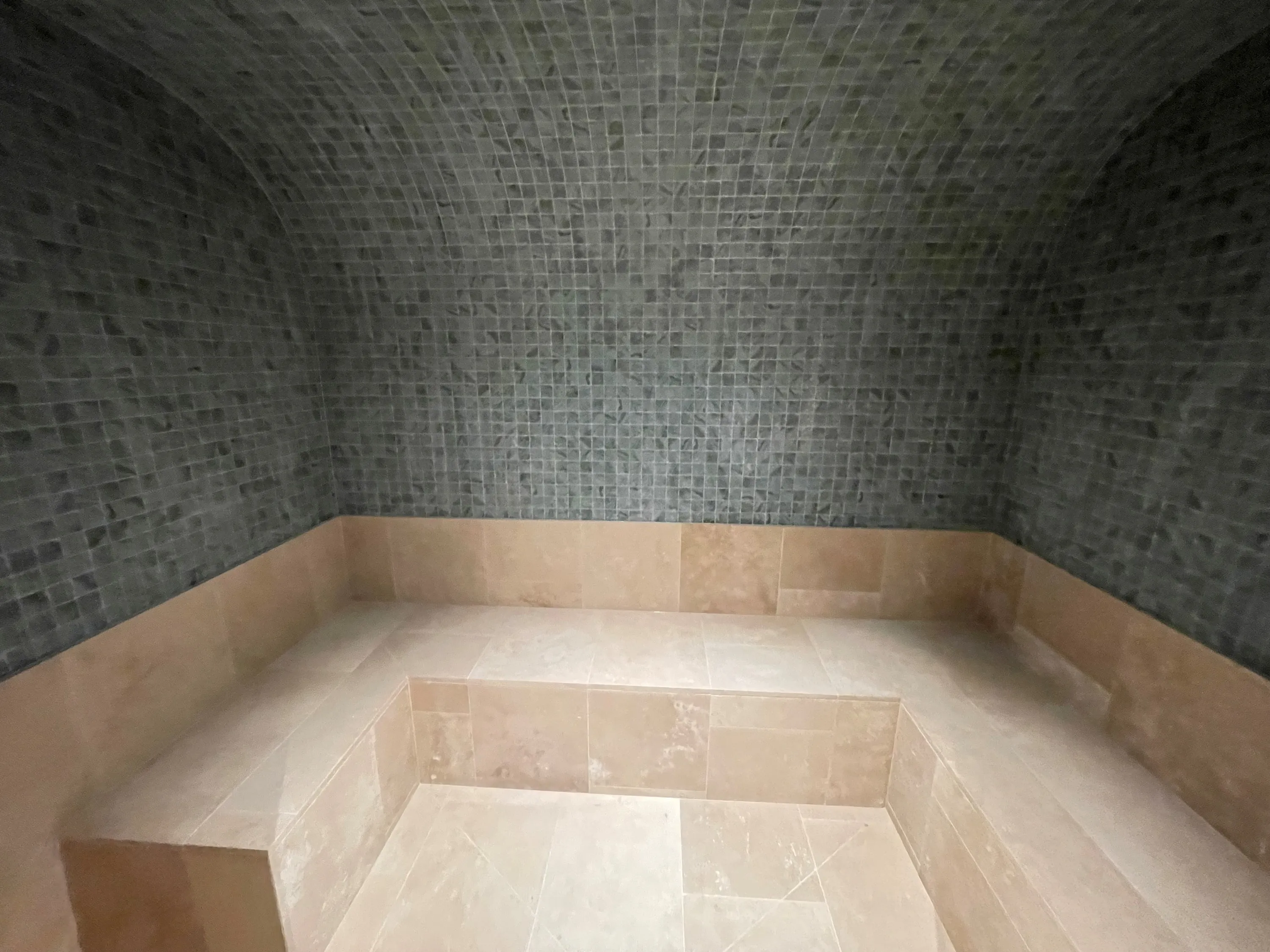 Home steam room with mosaic walls, a curved ceiling and pale stone bench