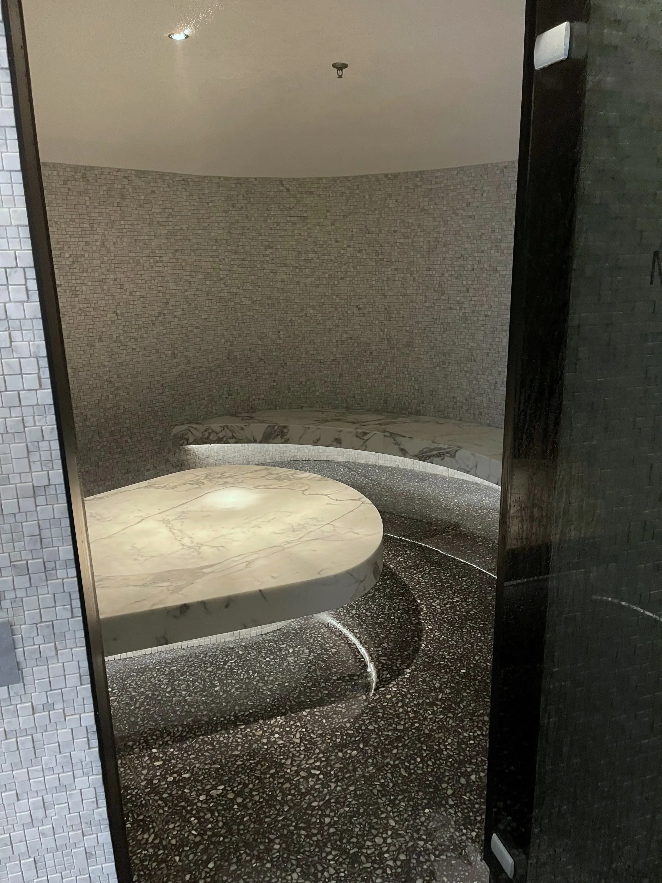 Looking through the glass door into the curved steam room
